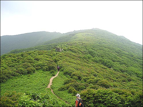 소백산 상월봉(1395m)에서 국망봉(1420.8m) 정상으로 가는 길에. 끝없이 펼쳐진 푸른 초원 같았다. 